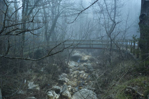 Puente a la Font Negre. Bridge to Font Negre. by Josep M Ferrer