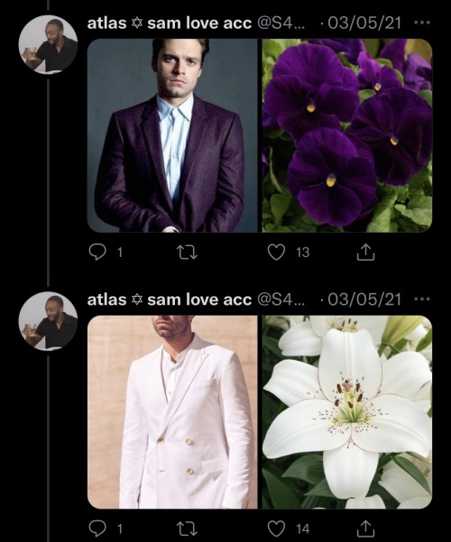 Sebastian Stan As Flowers: An Absolutely Adorable Thread By @S4MWILSON On Twitter