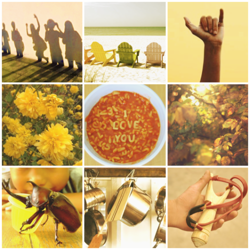 Sunny, happy, summer Soup moodboard for anon!