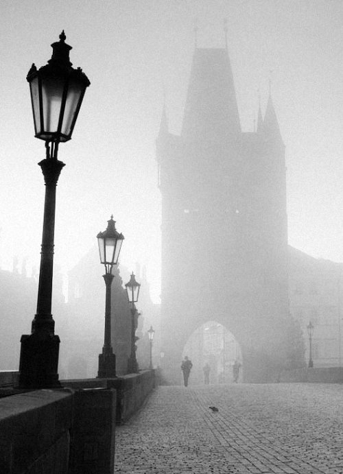 charles bridge at sunrise, prague