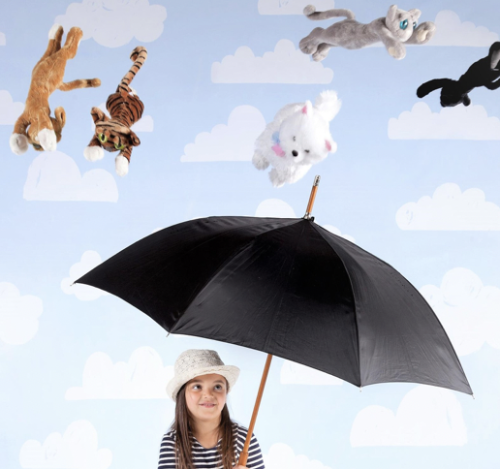 ☂☄ look at the forecast, it’s raining cats & dogs… ☂☄ #lmao#stuffed animals#stuffies#plushies#plushie#plush#plushes#plushblr#safe plush#cute#wholesome#cat#cats#Cat plushie#cat plush#kitty plushie#manhattan toy #manhattan toy company  #Manhattan toy plushie  #Manhattan toy company plushie  #manhattan toy lanky cats #lanky cats #lanky cats plushie #wishlist#rochemonky