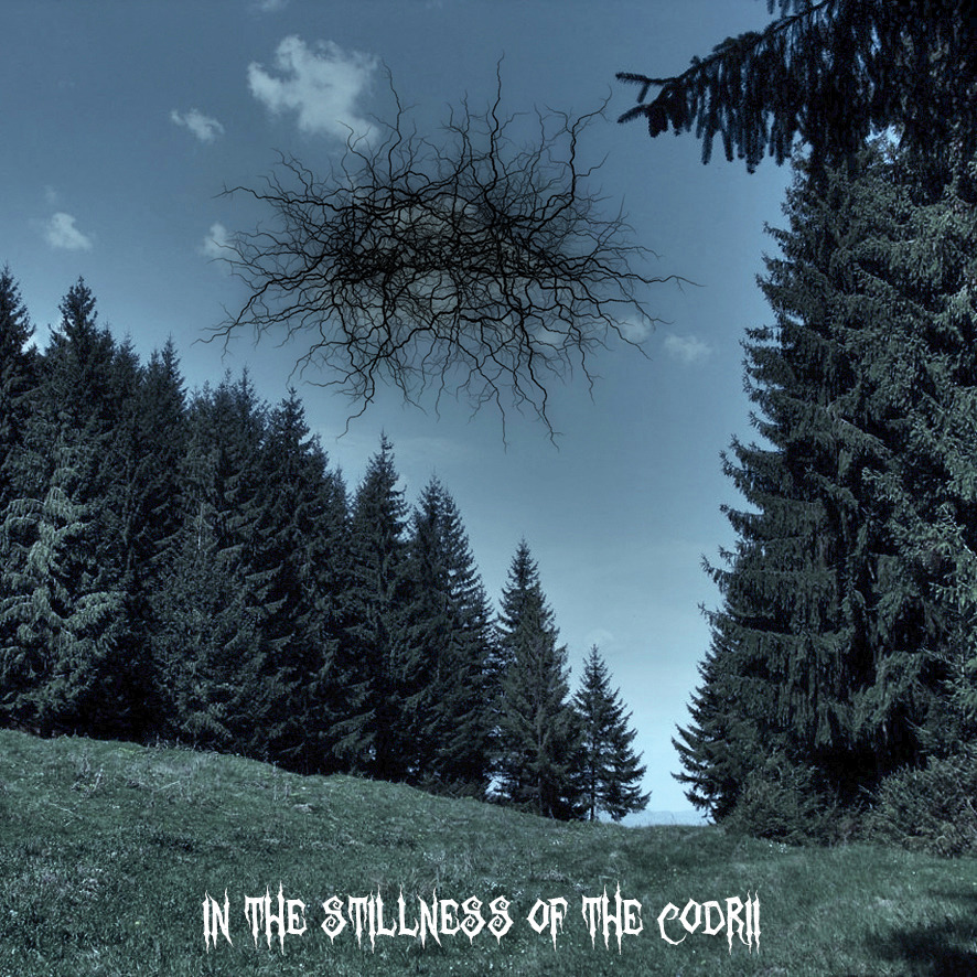 cr1nn:  Basarabian HillsDepressive Black Metal from Moldova  That&rsquo;s seriously