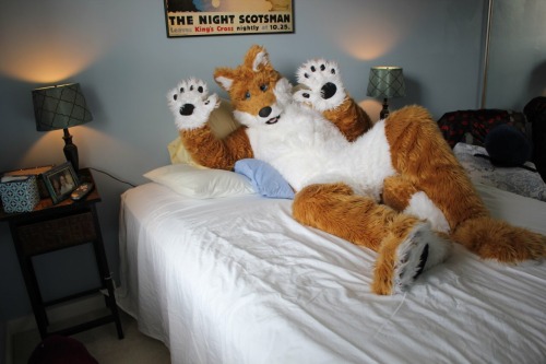 Sexy poses and paws.. ;)Not a murrsuit.