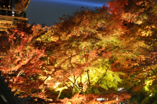 Kiyomizudera temple, Kyoto, Japan