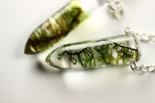 mossofthewoodsjewelry:A couple of little moss necklaces Delicate Fern Moss (Thuidium delicatulum) an