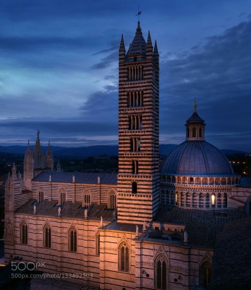(Siena, Italy) Duomo di Siena by Tramont_ana on 500px