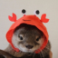 redloza