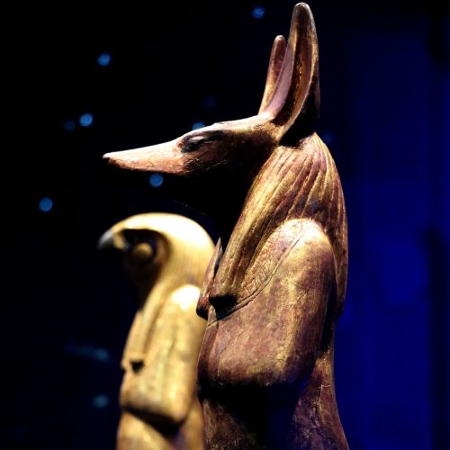 Statuette of the God DuamutefThis Jackal-headed god, one of the four gods protecting the organs of T