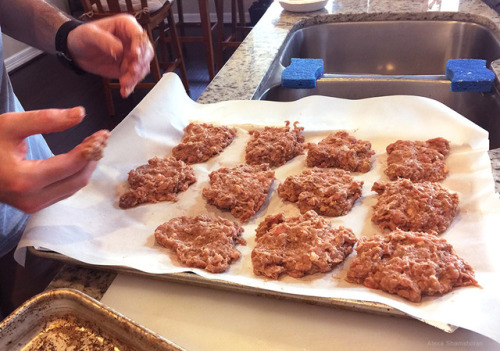 fimbry:We made meat patties with EZcomplete mixed in to make it balanced. Ended up making enough pat
