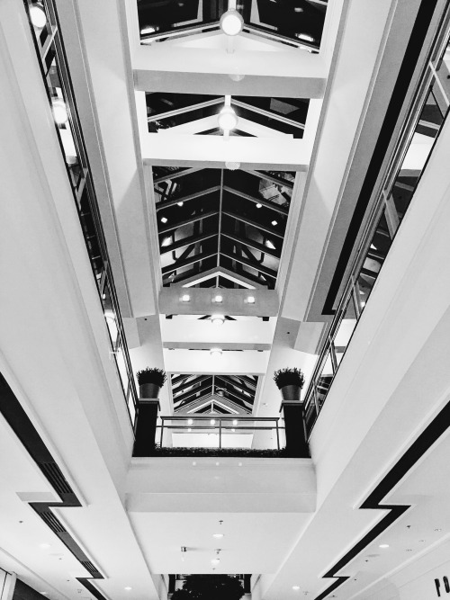 amor-oscuro:  The garden mall.
