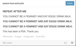 mariahraemonroe:  kunsthalles:  aberrantambition:  transgirlnausicaa:  coelacanthv:  babygiinge:  I do not think you know what that word means, friend. I am a feminist because I stand up for women. Not chickens.  You stand up for human women, I’ll keep