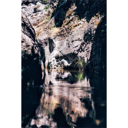 Hikin upstream #greenmind #wearecagrown #packyourtrash #damselfly www.instagram.com/p/B3hw_p