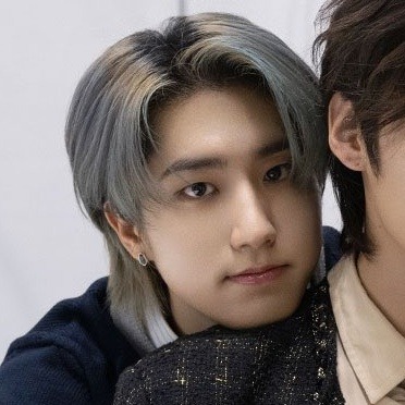 Stray Kids Matching Icons/metadinhas.