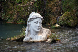 diaryofalandlockedmermaid:  Bust of the nymph/naiad Herkyna in the Herkyna River in Greece 