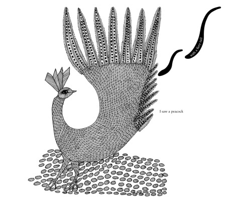 Selections from Tara Books: Night Life of Trees, Waterlife, &amp; The Peacock with the Fiery Tal