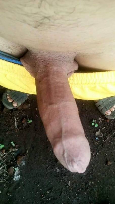 alfredoquiereleche:  Chacal de barrio