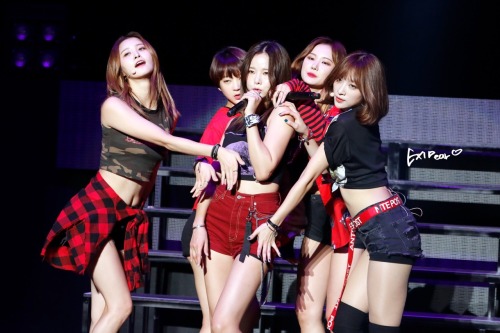 gay-shit-girlgroups-do:  I love EXID cr. EXIDear