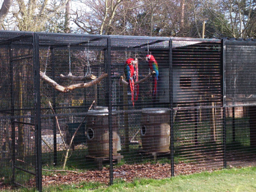 amazingpetenclosures:Custom caging by Andy Beard.