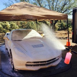 chemicalguys:  Little foam action thanks to Chemical Guys  #chemicalguys honeydew! #chemicalguys #FoamCannon #honeydew #honeydewfoam #Detailersofinstagram #carcare #Corvette #shine