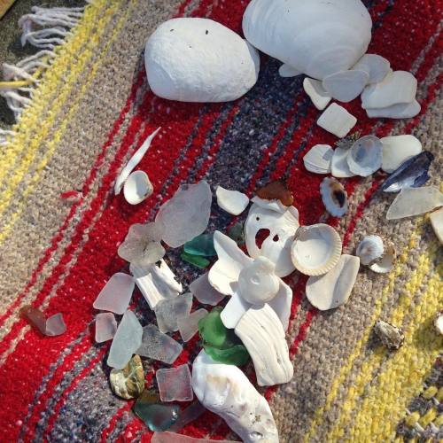 #seaglass and #seashells