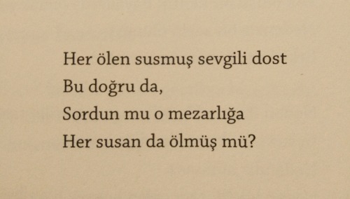 Muhammed Said Zengin / Uzaklardan Bir Yerden Kitabından