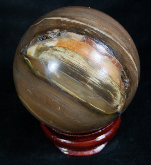 Polished spheres of 220 million year old petrified Araucaria wood from Madagascar.  Some o