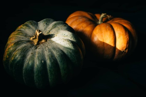 Pumpkins #stilllife #pumpkin #zucca #autumn #autumnvibes #food #autunno #naturamorta #foodphotograph