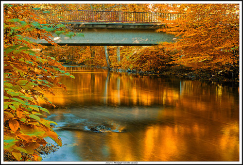 The gold flows under the bridge by Philippe Sainte-Laudy on Flickr.