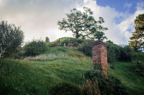 living-inbetween:Hobbiton, Matamata, New Zealand. ALL THe Hobbit Houses…