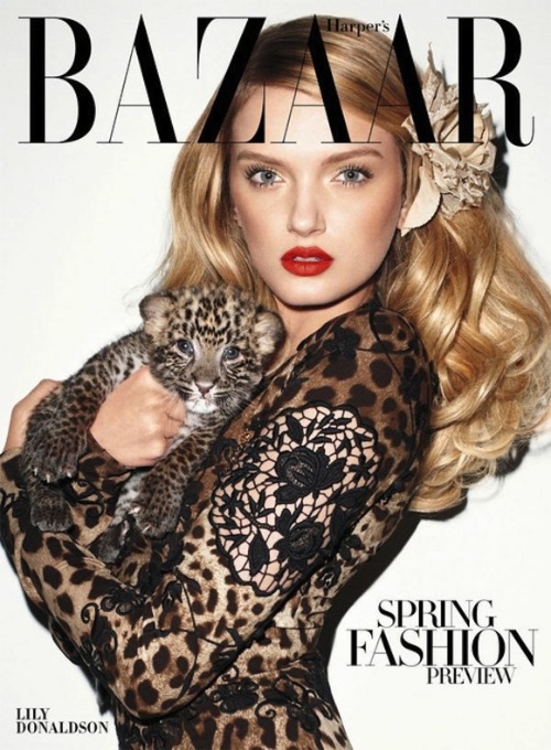 Lily Donaldson in Dolce & Gabbana – Harper’s Bazaar