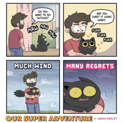 oursuperadventure: 💨😾 Toby was not a fan of the mystery air blowing her about! (Our cats are indoor cats - they aren’t used to the great outdoors!) Two quick things - firstly, my new book Glitch is in stores now! Thank you if you’ve already