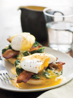 fattributes:  Lemony Eggs Florentine  UNGH…😍