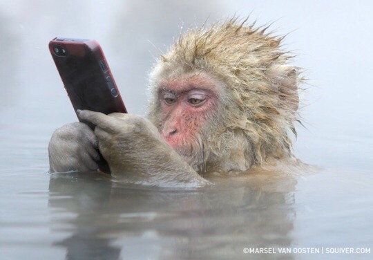 melonboyy:  *reads a post n has something to say* *remembers replies are gone* 