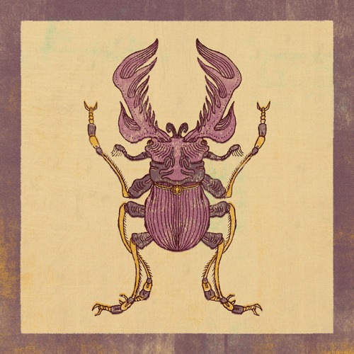 xuanquyen: Beetles, strange beetles.