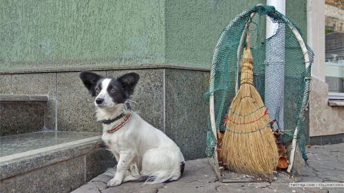 Odessa, Ukraine 2014