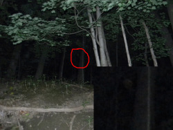 fuckyeahnightmares:  agent-snippy-007 submitted: My friends and I went ghost hunting back over the summer and took a couple hundred pictures. We found this, which appears to be a skull or a face when we reviewed them on my computer the next day. We have