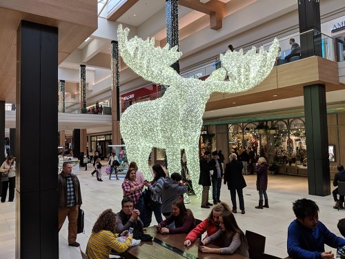 Encounter: giant moose made of light, an old forest-guardian wondering where the hell all its trees 