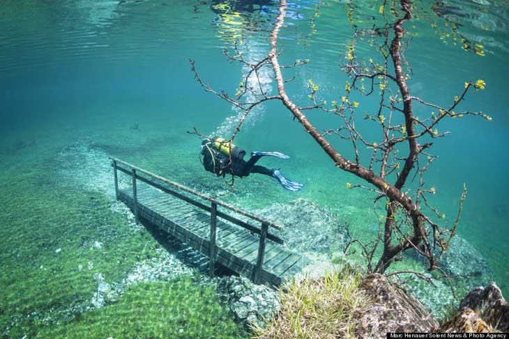 the-elephant-queen:  brain-food:  This is most most bizarre underwater world in Austria’s