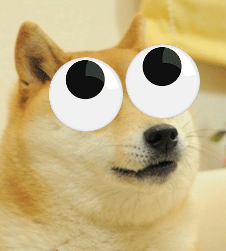 El perro que todos editan