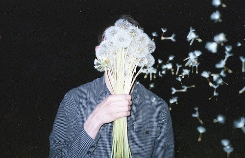 Dandelion Boyy
