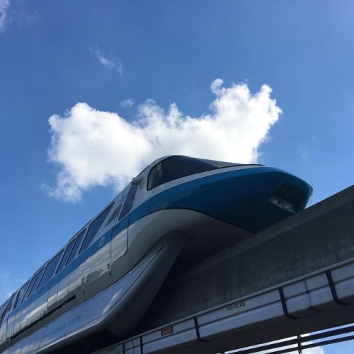 The Monorail almost has a set of Mickey Ears. #momorailmonday #mickeyears #disney #disneyIG #disneyg