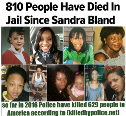 Bellygangstaboo:   Since Sandra Bland’s Death July 13, 2015 Over 810 People Have