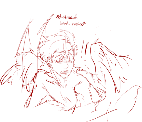 fangirltothefullest:Winged!Roman does the thing when he’s too sleepy to remember about object perman