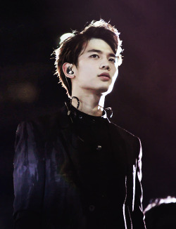 deer-tokki:    Perfection #19  