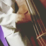 crocettisbrandos:  The Stray Cats » &ldquo;Look at that Cadillac&rdquo;