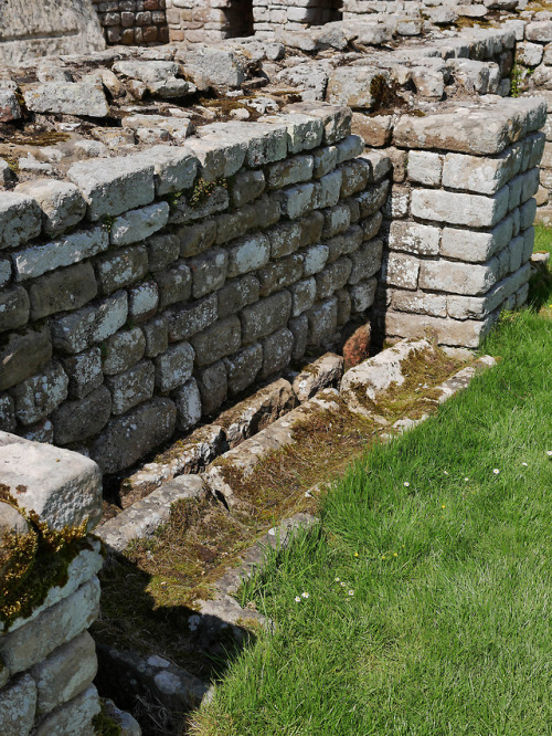 thesilicontribesman: Roman Bath House Photo Set 2, Chesters Roman Fort, Hadrian’s Wall, Northumberla