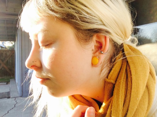 the-foreign-stetson:New conch piercing. Rose gold in my nose and stretched ears. Rare winter sunshin