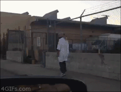 gif-guy:  Other Funny Gifs /