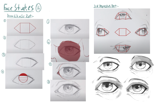 Wednesday UpdateSome face studies from back around the same time I did those wing studies. I’d thoug