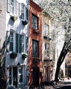 lukeawright:  Georgetown by Luke A. WrightPhotographed in Georgetown, D.C. 